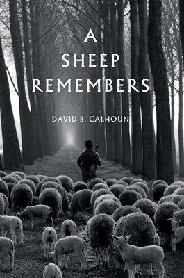 Sheep Remembers, A (Paperback)