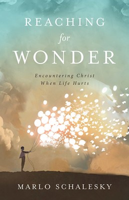 Reaching for Wonder (Paperback)