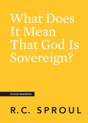 What Does It Mean That God is Sovereign? (Paperback)