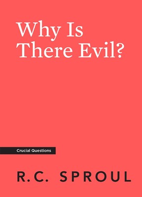 Why Is There Evil? (Paperback)