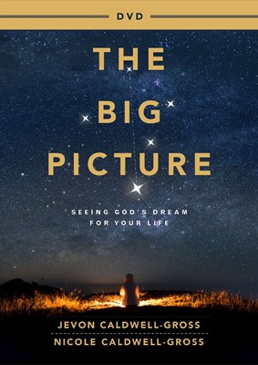 The Big Picture DVD (DVD)