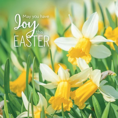 Compassion Charity Easter Cards: Joy/Daffodils (5 pack) (Cards)
