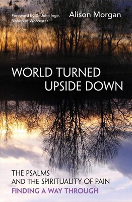 World Turned Upside Down (Paperback)