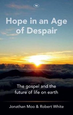 Hope In An Age Of Despair (Paperback)
