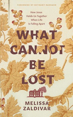What Cannot Be Lost (Paperback)