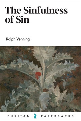 The Sinfulness of Sin (Paperback)