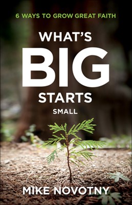 What's Big Starts Small (Paperback)