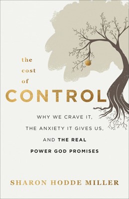 The Cost of Control (Paperback)