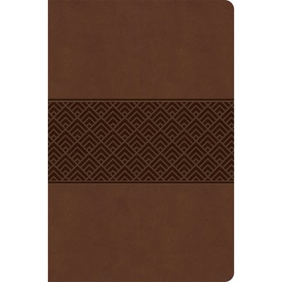 CSB Everyday Study Bible, Brown Burnished, Global (Imitation Leather)