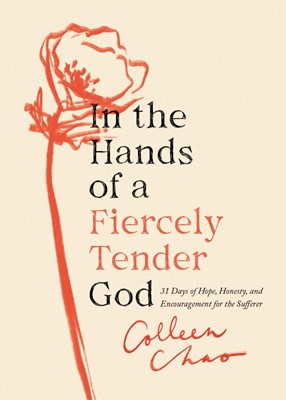 In the Hands of a Fiercely Tender God (Paperback)