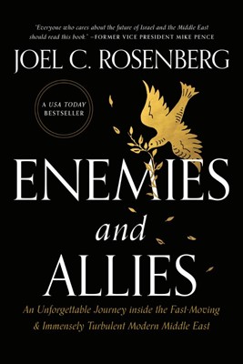 Enemies and Allies (Paperback)