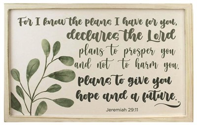 For I Know the Plans MDF Wall Art (General Merchandise)