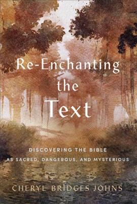 Re-enchanting the Text (Paperback)