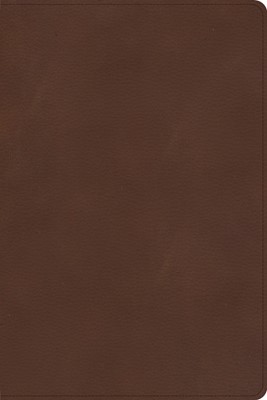CSB Rainbow Study Bible, Brown LeatherTouch (Imitation Leather)