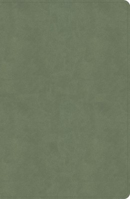 CSB Every Day with Jesus Daily Bible, Sage LeatherTouch (Imitation Leather)