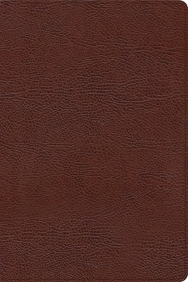 CSB Large Print Thinline Bible, Brown Bonded Leather (Bonded Leather)