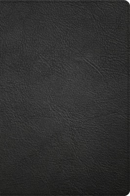 CSB Large Print Thinline Bible, Handcrafted Collection (Imitation Leather)