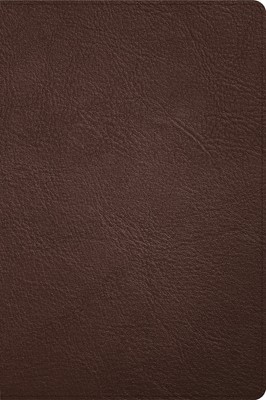 CSB Large Print Thinline Bible, Handcrafted Collection (Genuine Leather)