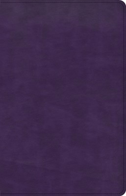 CSB Large Print Personal Size Reference Bible, Purple (Imitation Leather)