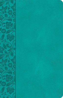 CSB Large Print Personal Size Reference Bible, Teal (Imitation Leather)