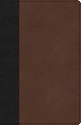 KJV Thinline Bible, Black/Brown LeatherTouch (Imitation Leather)