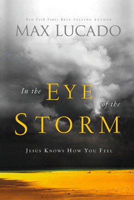 In The Eye Of The Storm (Paperback)