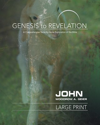 Genesis to Revelation: John Participant Book [Large Print] (Paperback)
