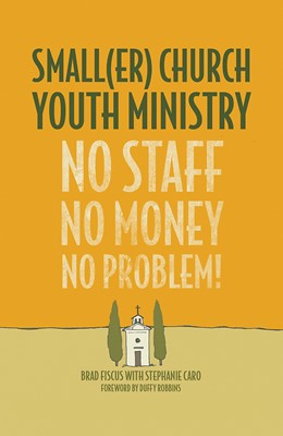 Smaller Church Youth Ministry (Paperback)
