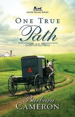 One True Path (Paperback)