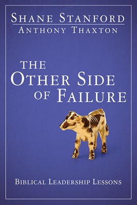 The Other Side of Failure (Paperback)