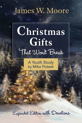 Christmas Gifts That Won't Break Youth Study (Paperback)
