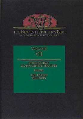 New Interpreter's Bible Volume VII (Hard Cover)