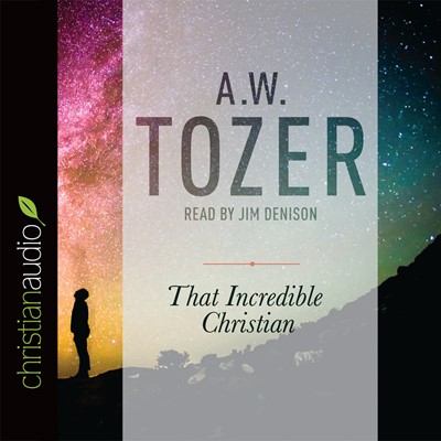 That Incredible Christian CD (CD-Audio)