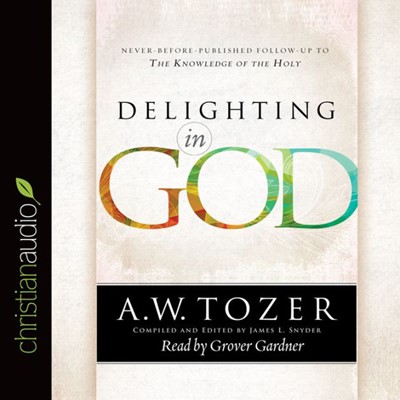 Delighting In God (CD-Audio)