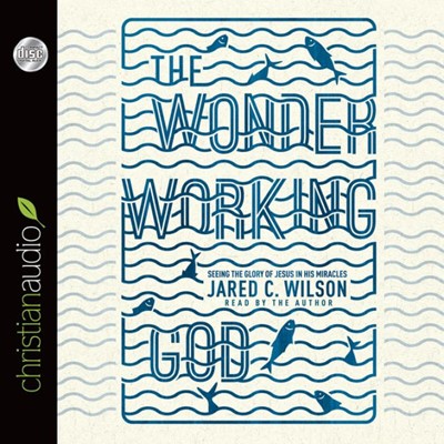 The Wonder-Working God Audio Book (CD-Audio)