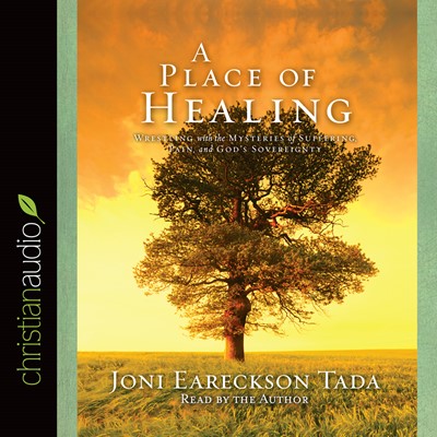 Place Of Healing Audio Book, A (CD-Audio)