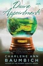 Divine Appointments (Paperback)