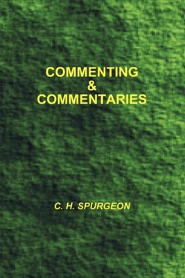 Commenting and Commentaries (Paperback)