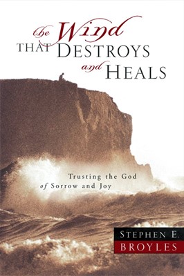 The Wind That Destroys And Heals (Paperback)