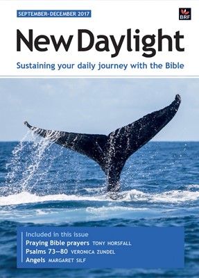 New Daylight September - December 2017 (Paperback)