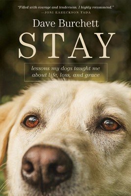 Stay (Hard Cover)