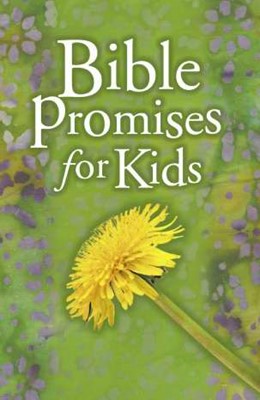 Bible Promises For Kids (Paperback)