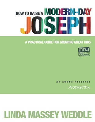 How To Raise A Modern-Day Joseph (Paperback)