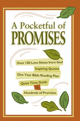 Pocketful Of Promises - Original (Paperback)