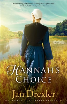 Hannah's Choice (Paperback)