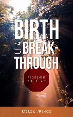 Birth of a Breakthrough (Paperback)
