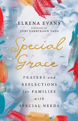 Special Grace (Paperback)