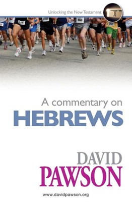 Commentary On Hebrews, A (Paperback)
