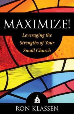 Maximize! (Paperback)