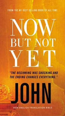 Now But Not Yet (Paperback)